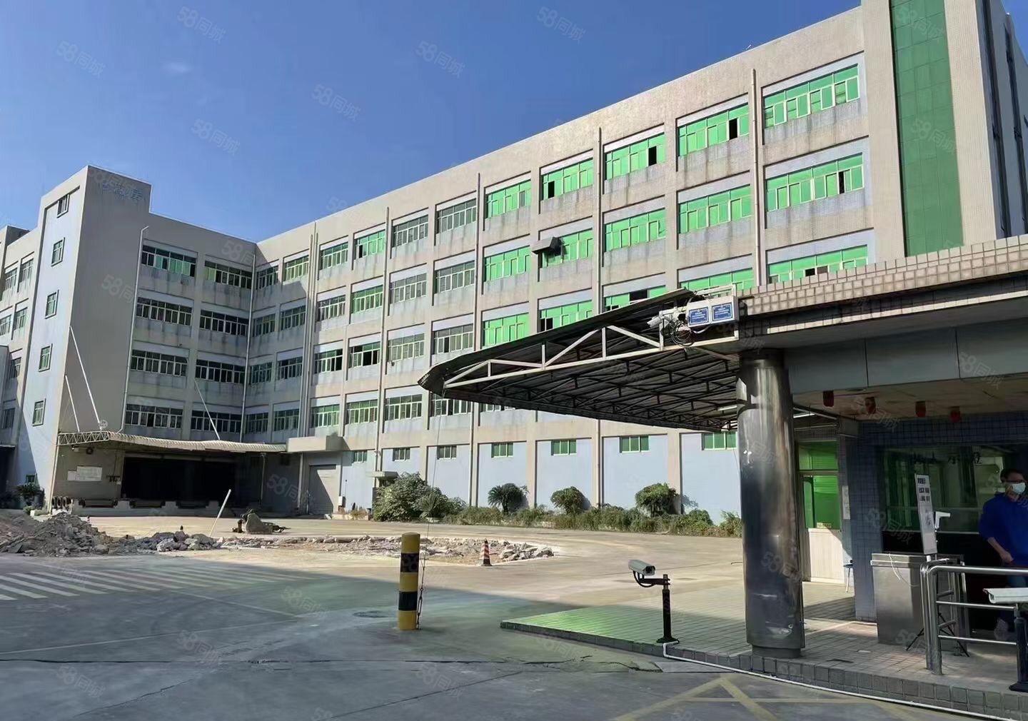 长安原房东红本独院出租大小可分租