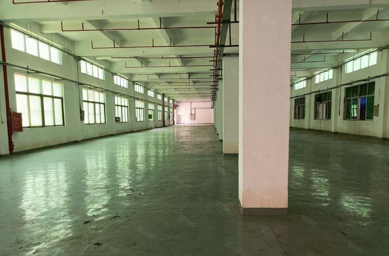 长安镇宵边小独院，总面积6000平方，厂房三层4500平方