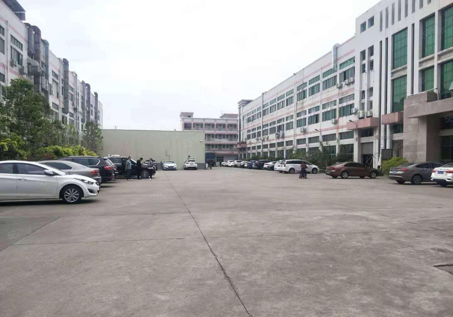 沿江高速口一楼厂房1600平6米高带牛角形象好空地超大