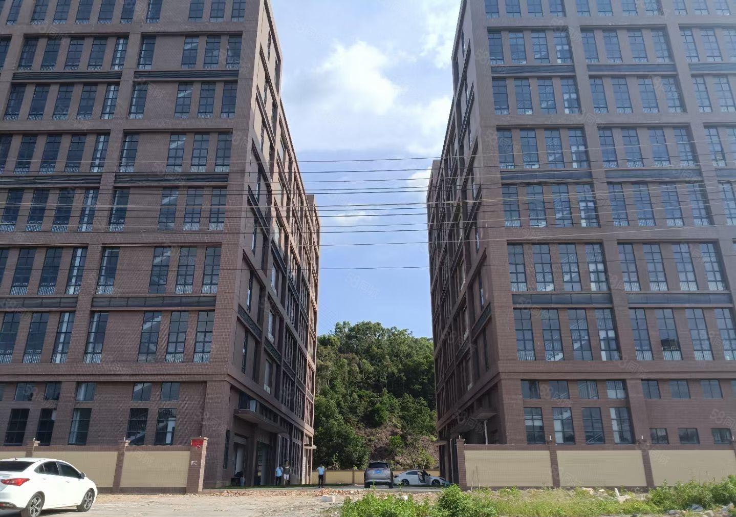 新出38888平全新红本厂房大小分租形象好空地大