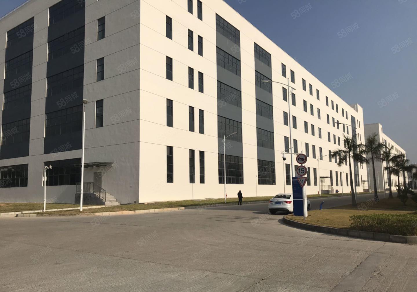 新出长安沿江高速口三万平高端红本厂房分租上市公司形象