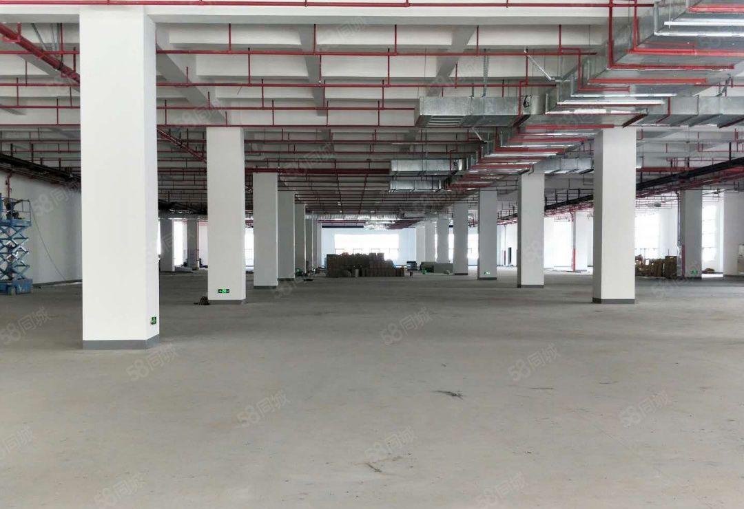 长安镇7000平方一手房东花园厂房招租