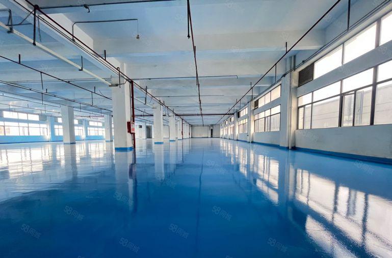 长安沙头精装修1500平厂房出租 可分租 低价出租 加工