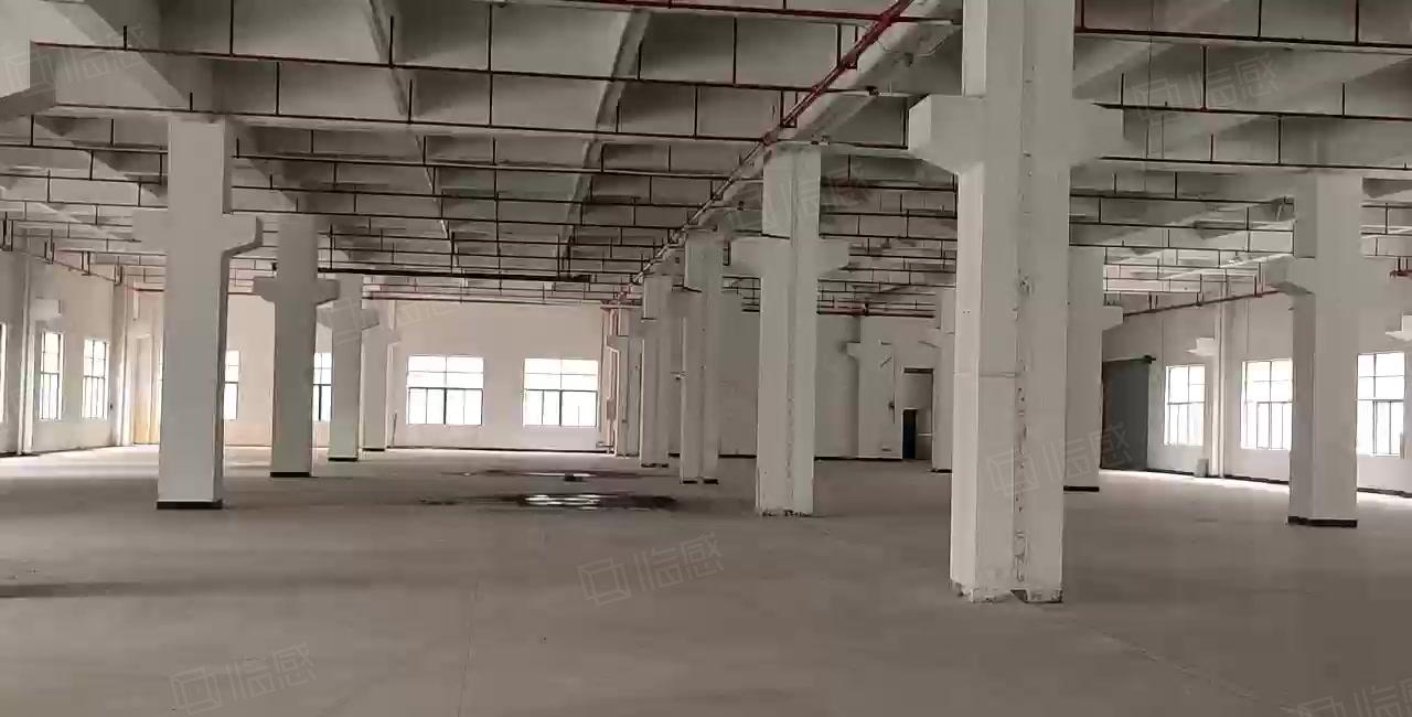 长安镇厦边一楼3580方花园式厂房出租高度8米带牛角