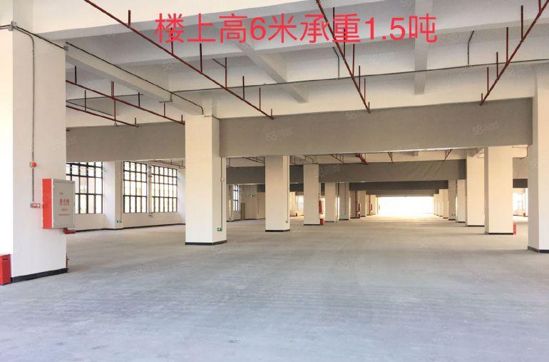 渉污共性环评厂房46800平500平起分租，全新厂房出租