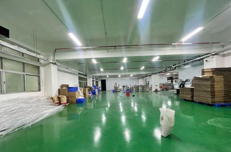 临界深圳沙井 长安乌沙 锦厦1200平厂房出租 可分租