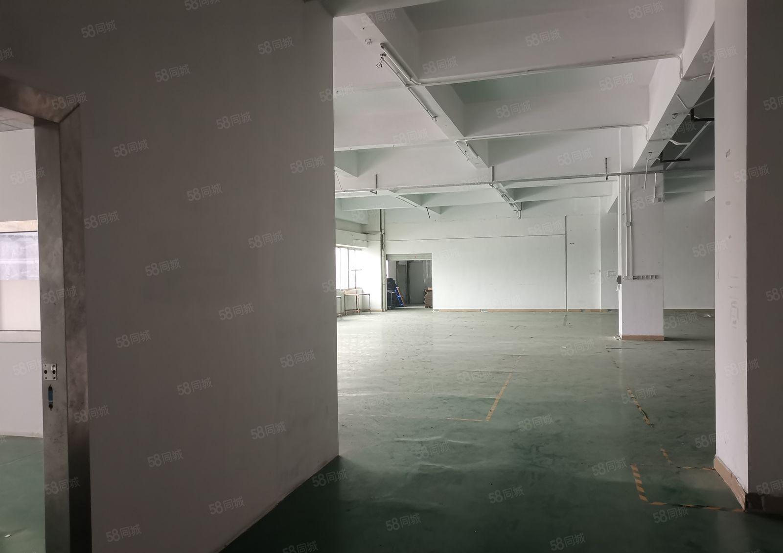 新安大桥旁新出二楼1800平方精装修厂房招租