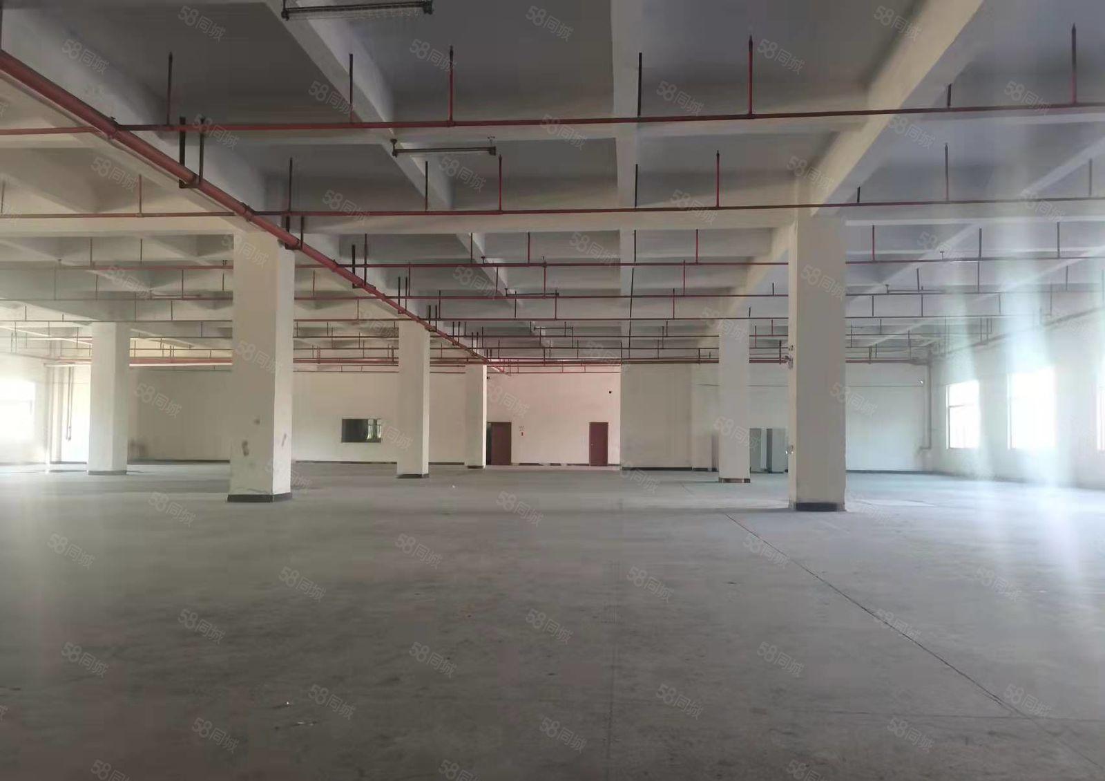 长安镇咸西社区一楼整层3000平方厂房出租 主线到位