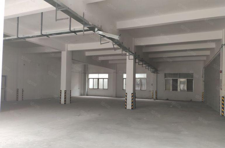 长安新民紧挨深圳一楼450平工业厂房招租