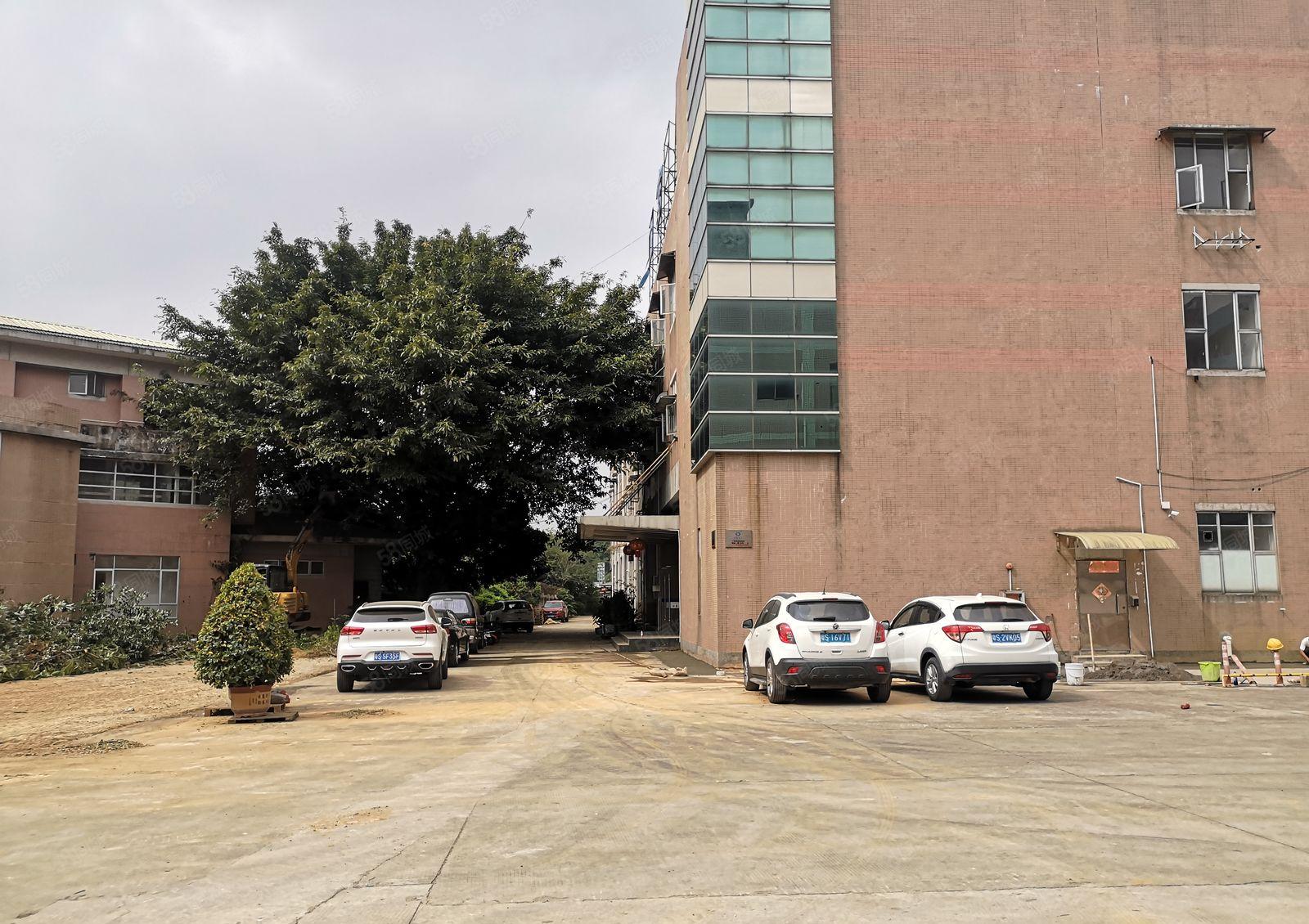 宵边一楼厂房5500平可分租5.5米高形象好空地超大环境优美