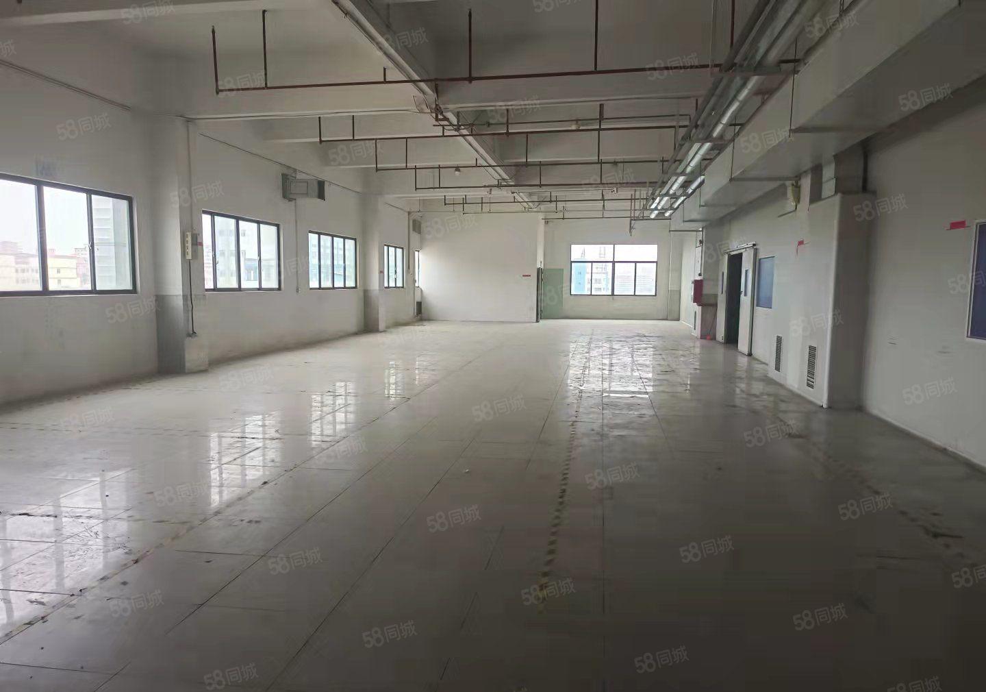 可办环评 长安镇宵边社区新空出二楼5000平方标准厂房出租