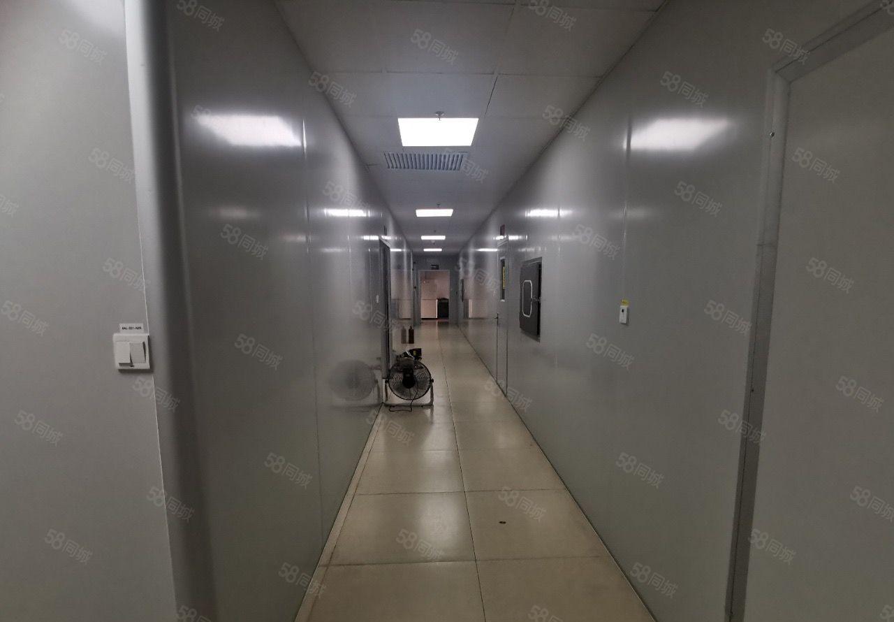 长安镇沙头社区新出无尘车间二楼一整层3900平方