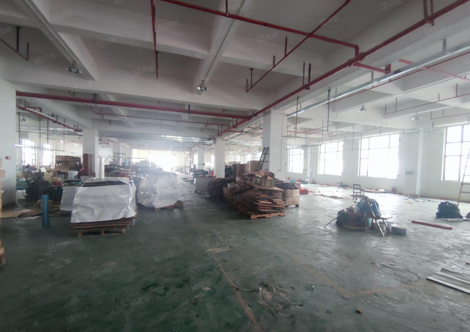 长安镇沙头社区原房东独门独院标准厂房出租4800平米