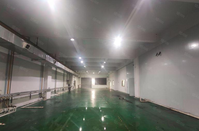 长安沙头一楼1000平方精装修工业厂房出租