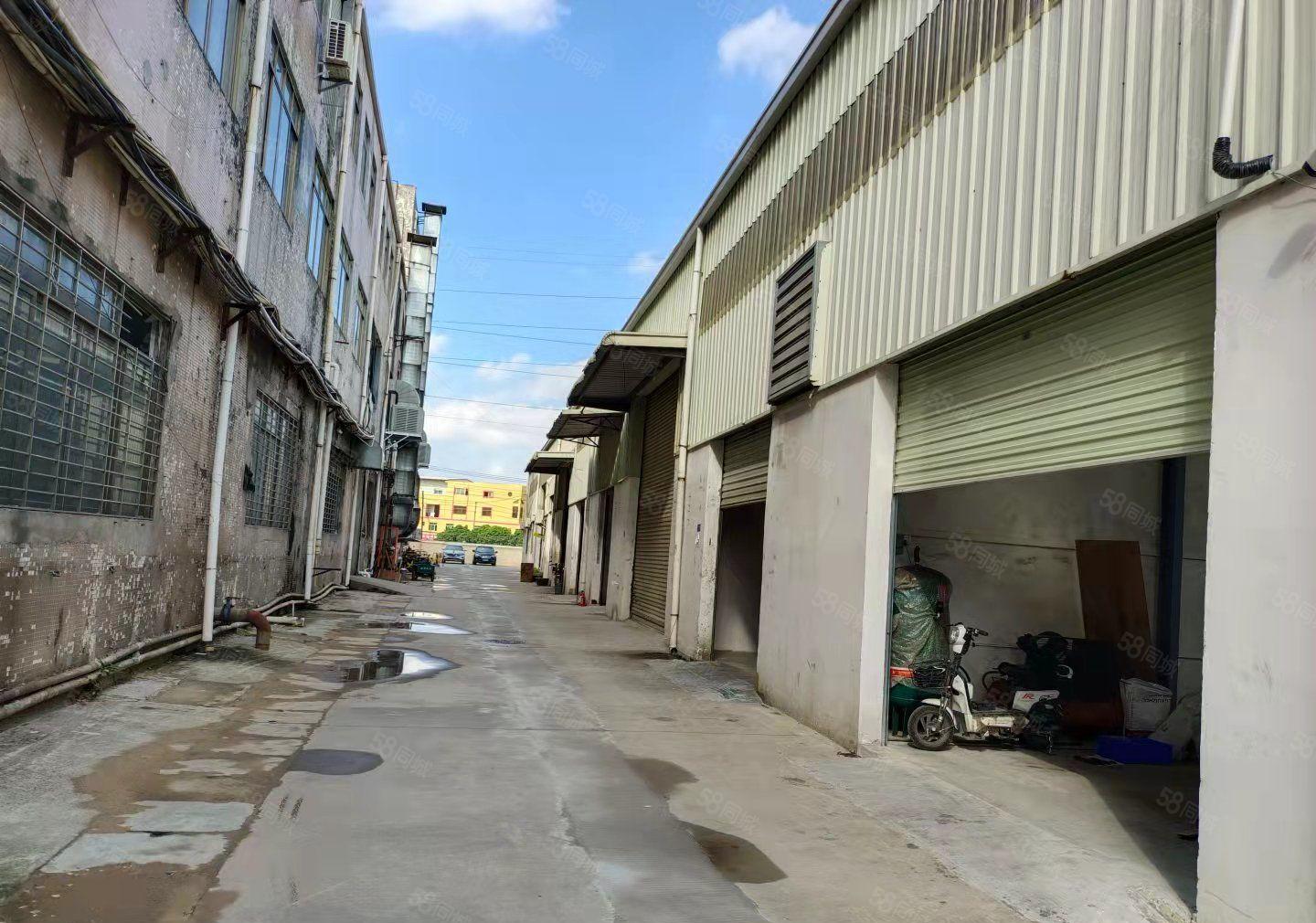 靓盘出租长安沙头太安路附近产业园园14每层1000平