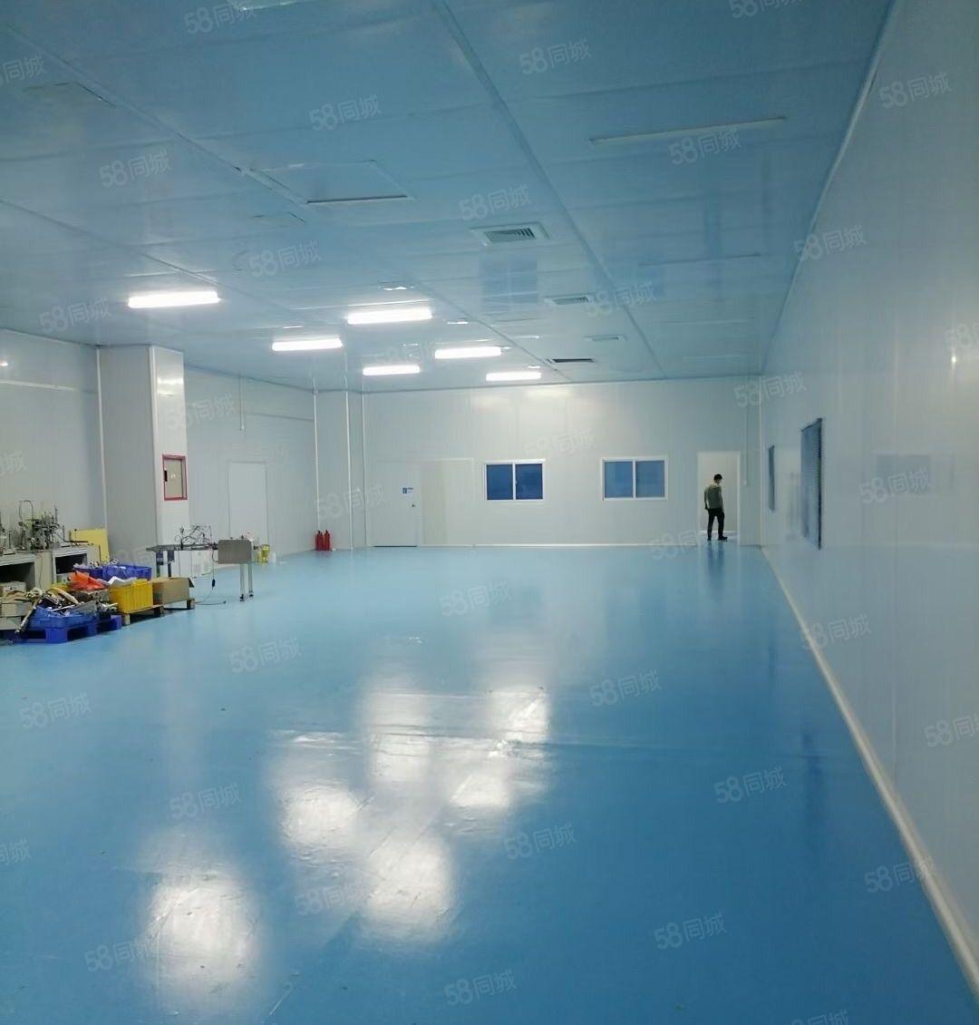 长安沙头无尘车间1380平厂房出租