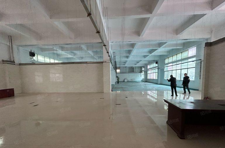 沙头新空精装修六米高一楼标准厂房招租可分租