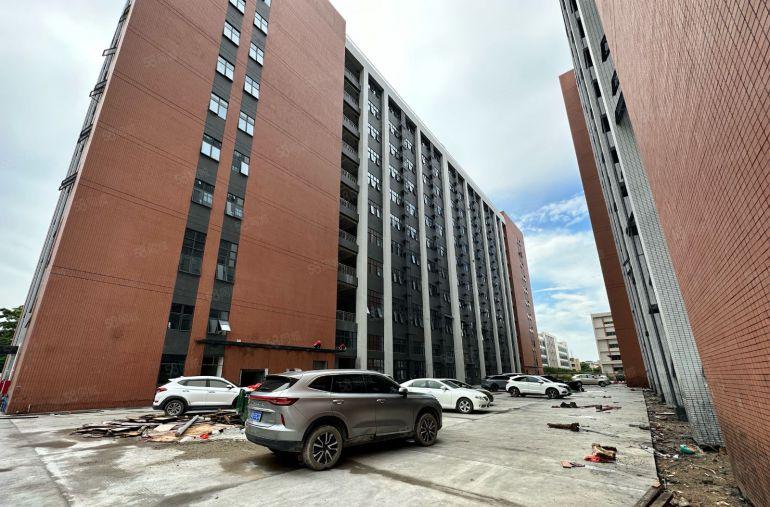 长安镇全新原房东厂房出租，一楼2000平方，层高6米带牛角