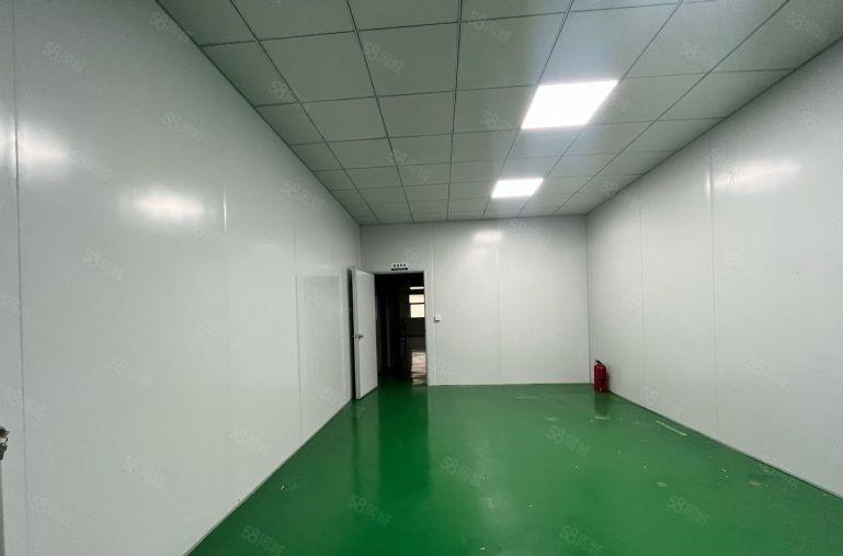 长发锦厦原房东独院 1000平厂房出租 可分租 临界深圳