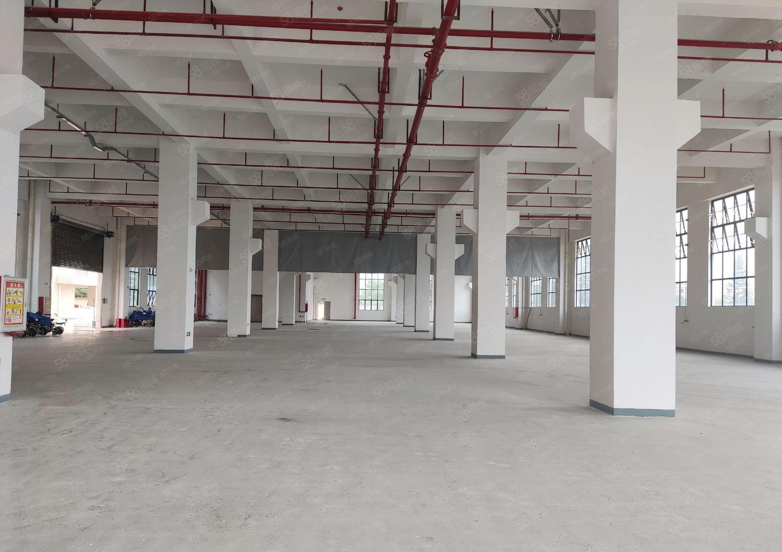 厂房出租 长安镇主干道旁全新一楼2100平带牛角适合各种行业