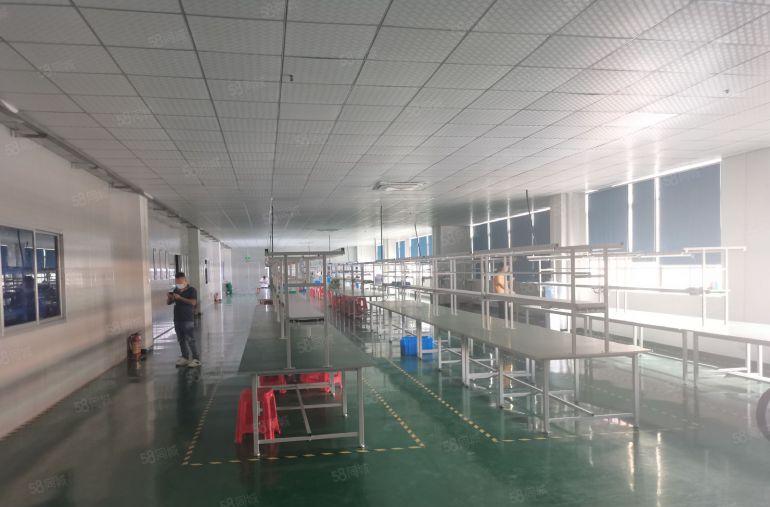 长安沙头楼上1500平方精装修厂房出租！