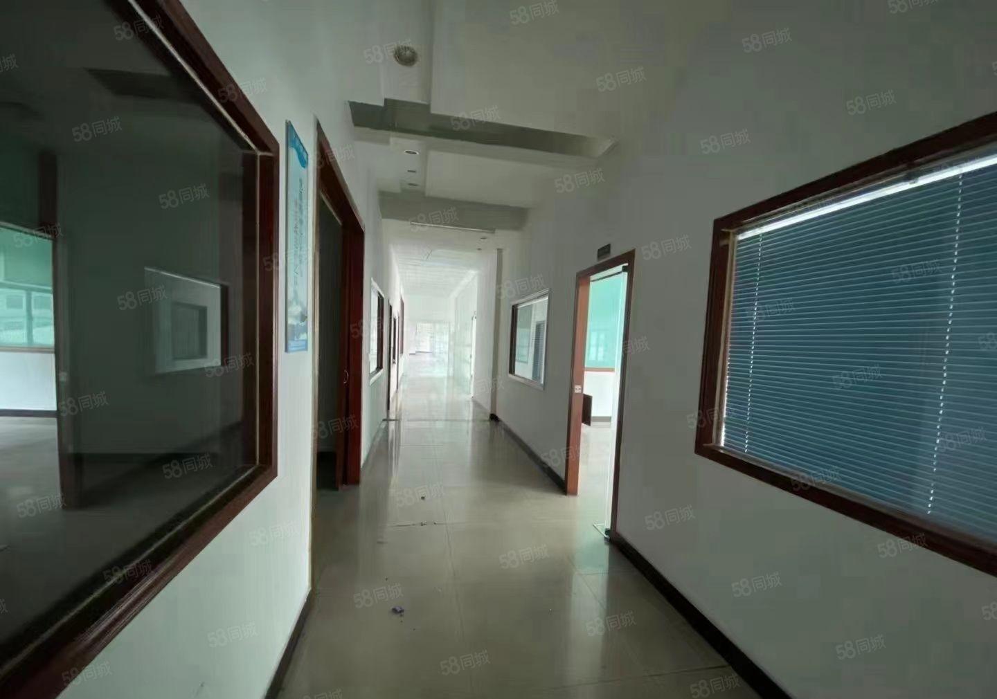 乌沙新空楼上2640平方厂房出租，豪华装修