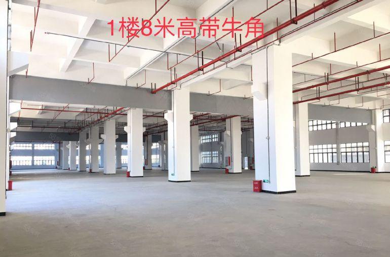 渉污共性环评厂房46800平500平起分租，全新厂房出租