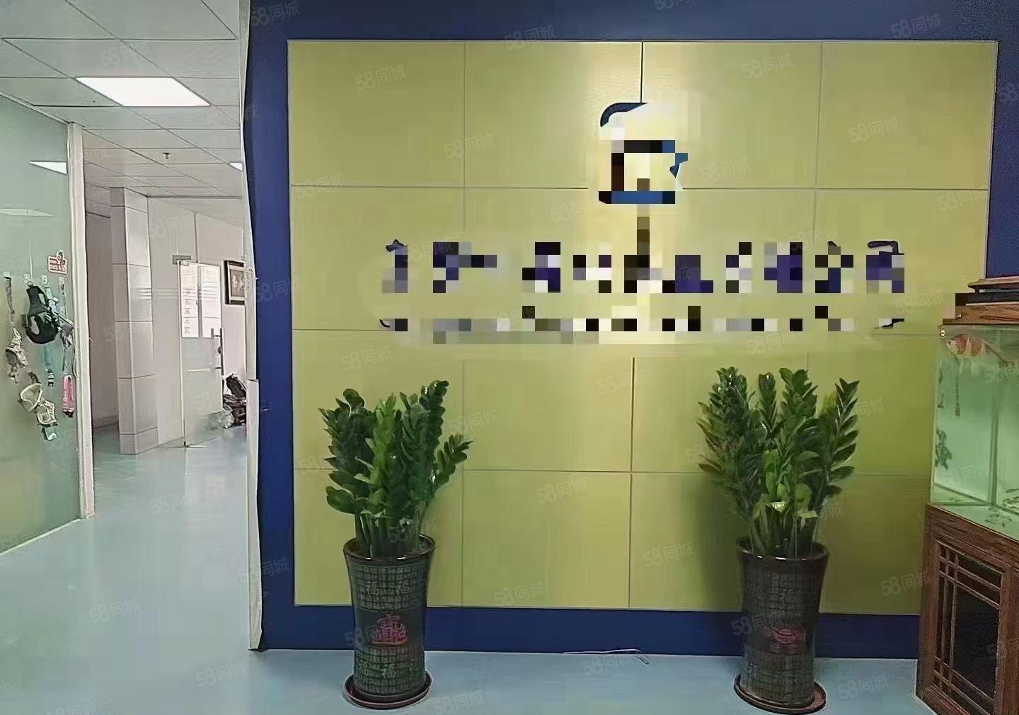 豪华装修水电齐全标准厂房