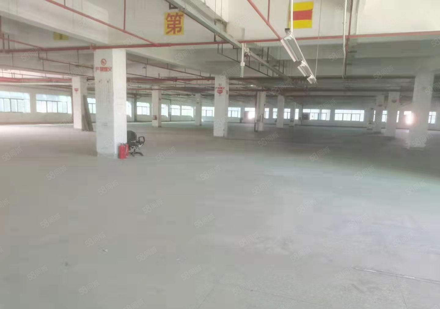 长安镇独院厂房出租，25000平，国有证厂房，可以办环评证