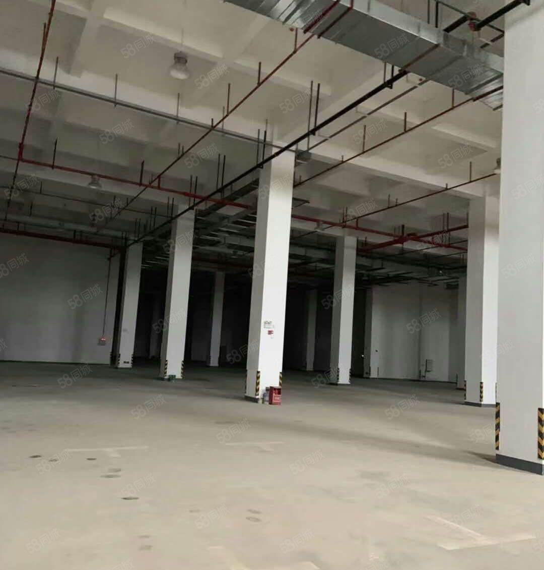 行业不限！ 东莞长安镇标准厂房出租，带红本可办环评，大小可分