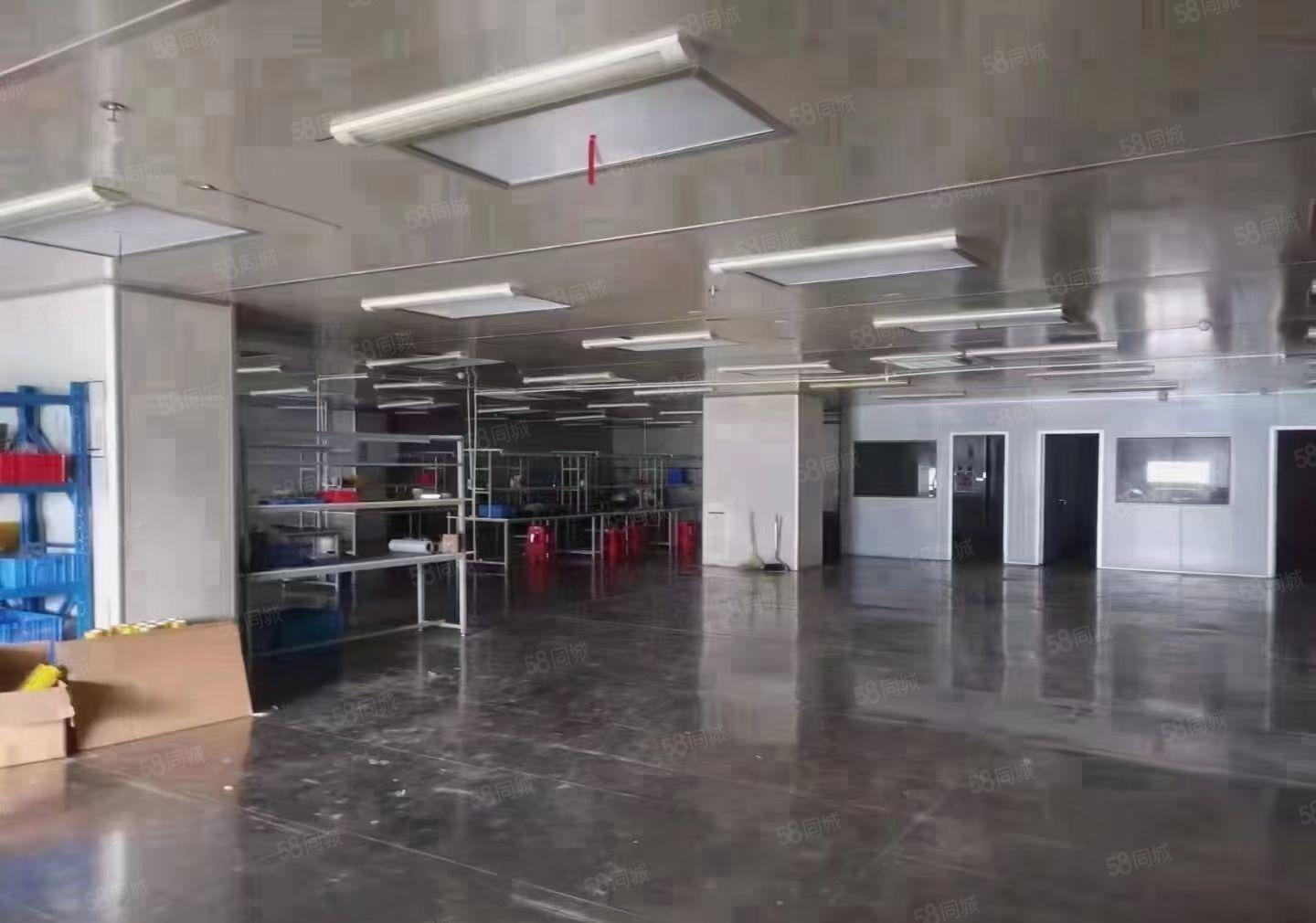 长安沙头成熟工业区楼上整层2000平方无尘车间，不用转让费