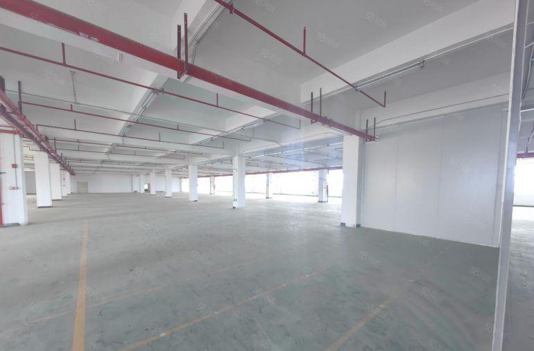 长安镇霄边4500平方3层独栋厂房，任意面积分组