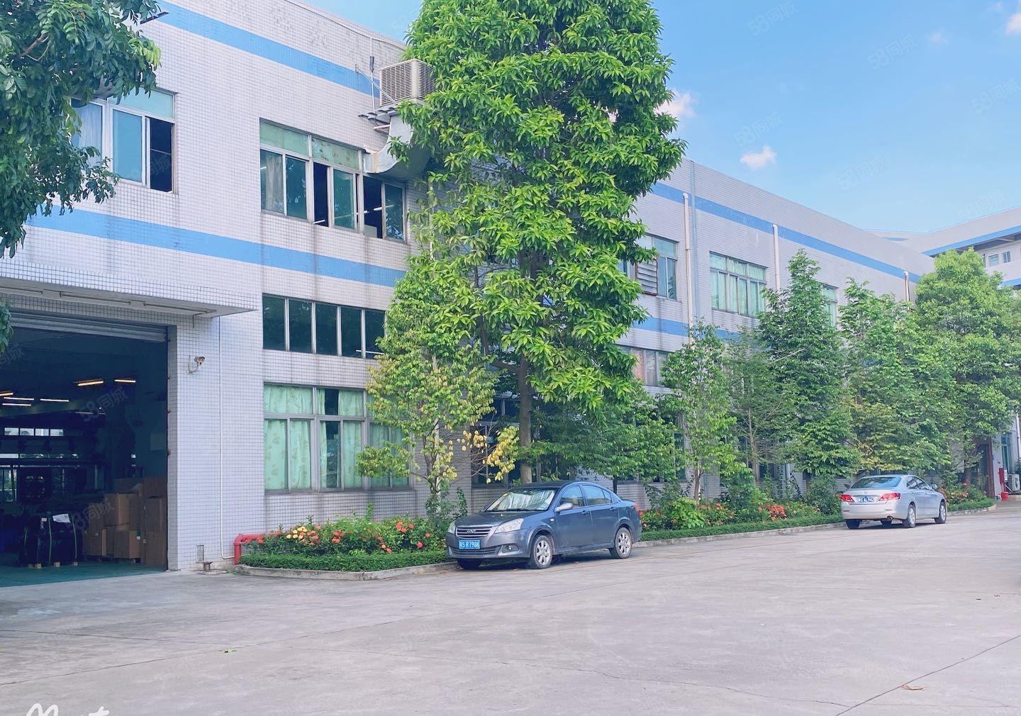 东莞长安镇锦厦工业区原房东花园式独门独院11000平厂房出租