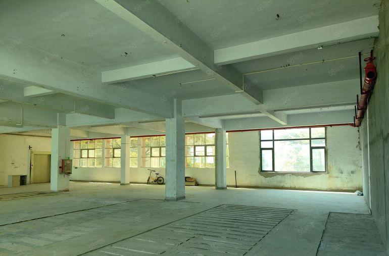 东莞长安涌头围村华兴工业园原房东厂房直租