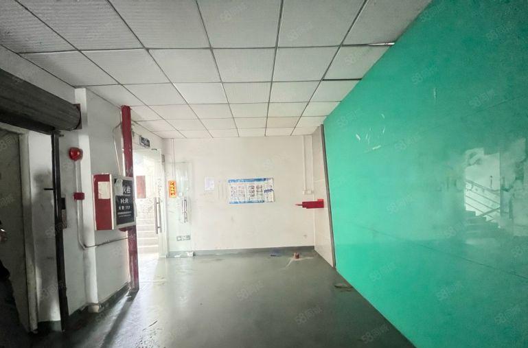 长安乌沙一楼1500平厂房出租 可分租 模具 五金 电子可分