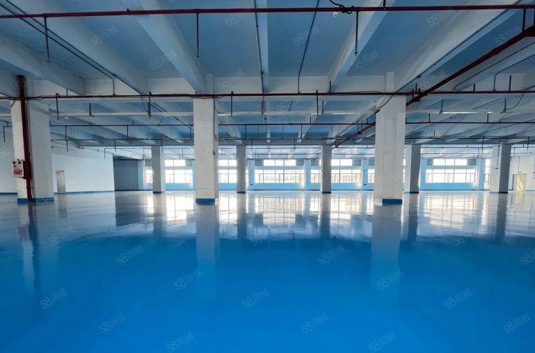 长安沙头精装修1500平厂房出租 可分租 低价出租 加工