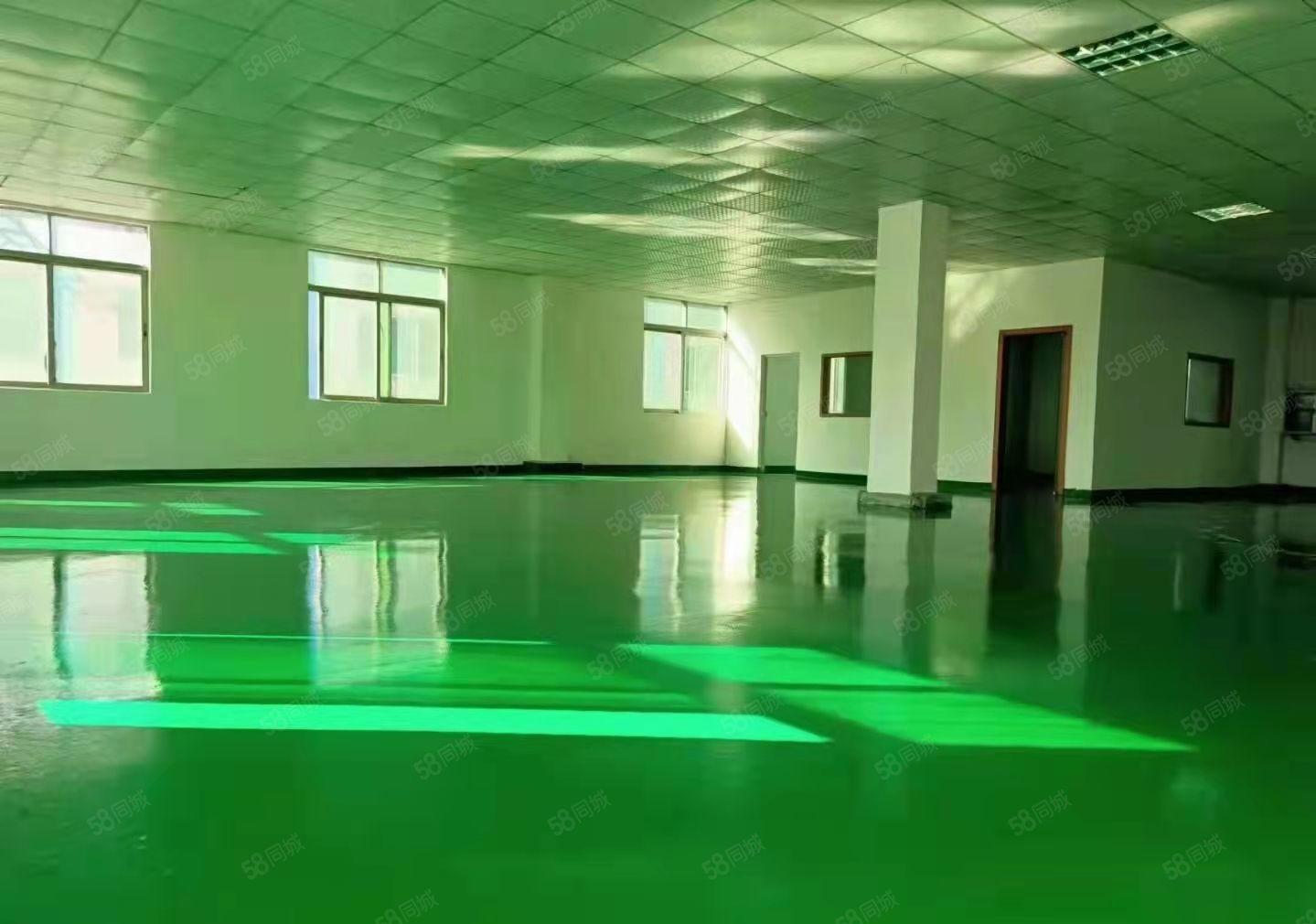 长安厦岗振安路旁1500平标准厂房出租，实际面积，全新装修