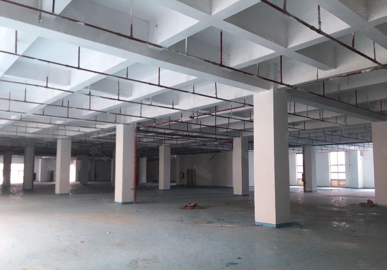 太安路旁边 易招工空地大 带精装修大小可分水电齐全 临近深圳