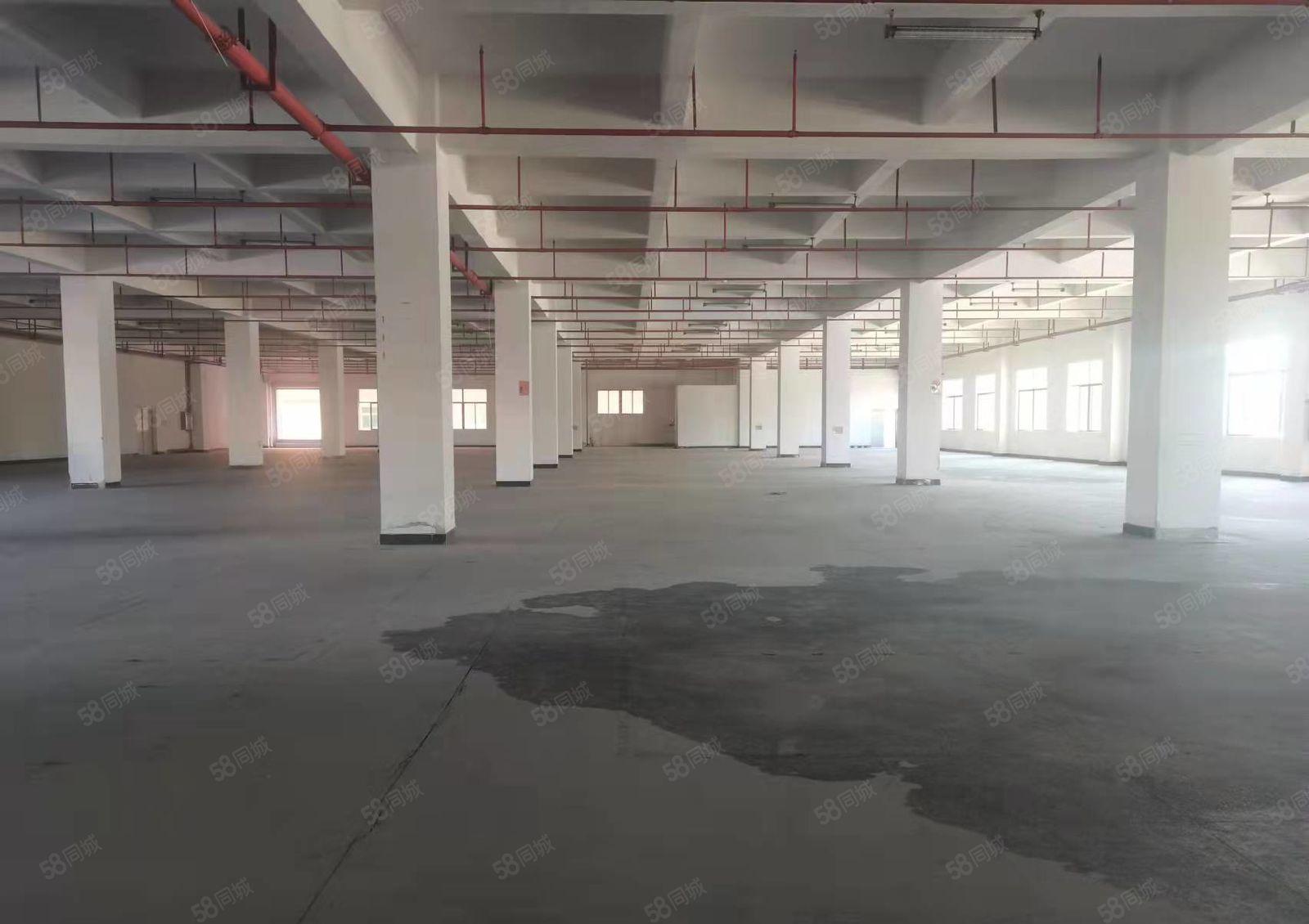 长安镇咸西社区一楼整层3000平方厂房出租 主线到位