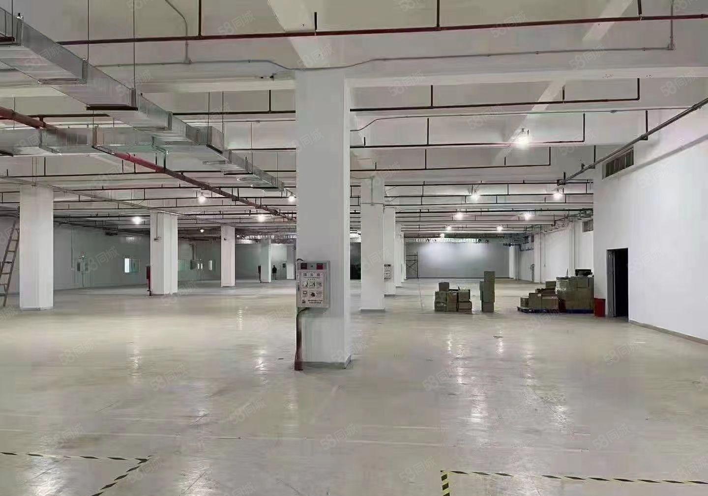 长安镇沿江高速路口新出二楼厂房仓库出租16800平大小可分租