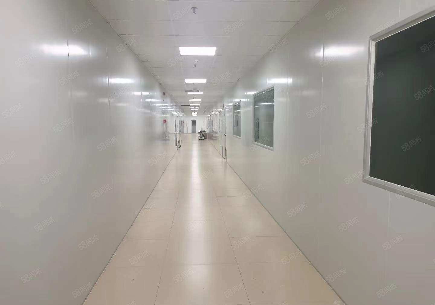 长安镇沙头社区两层无尘车间厂房出租7800平无转让费 可分租