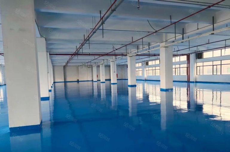 长安沙头大康惠附近新出一楼高5米实际1800平，实业客甩租