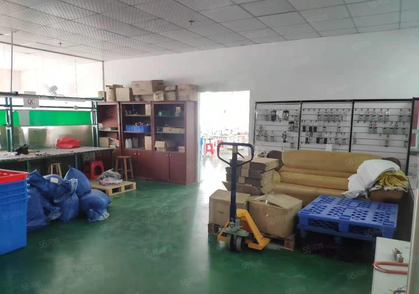 出租长安乌沙社区附近，8楼800平，豪华装修