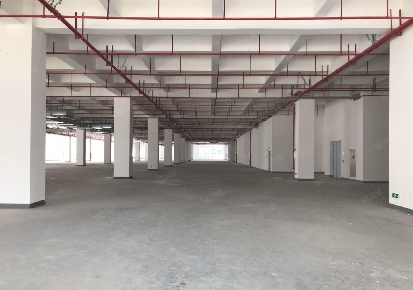 新出长安沿江高速口三万平高端红本厂房分租上市公司形象