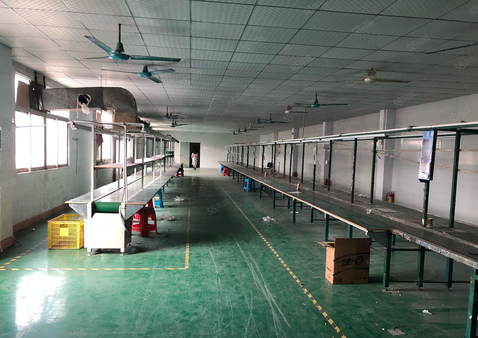 长安沙头楼上精装修1450平厂房出租