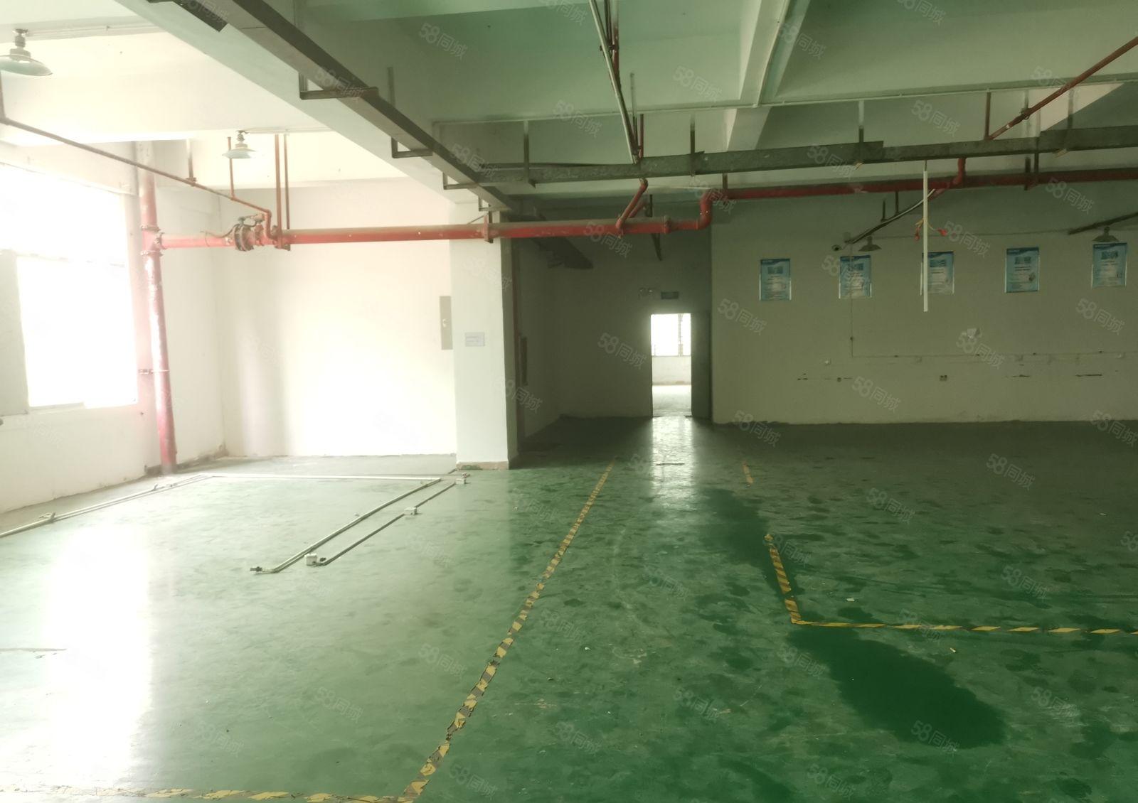 厦边新出楼上1100平方精装修厂房招租