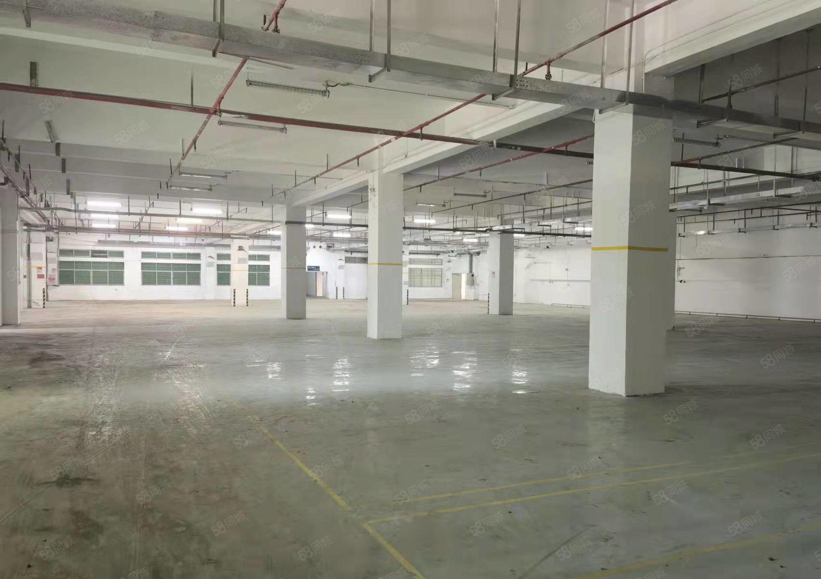 长安镇沙头独院厂房招租3000平喷油喷粉烤漆行业大小可分租