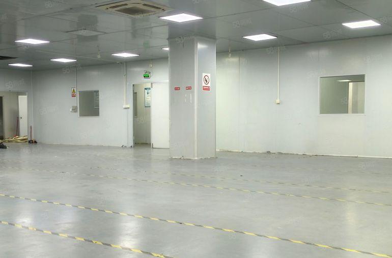 出租长安800平厂房，临近深圳，带精装办公室，园区空地大