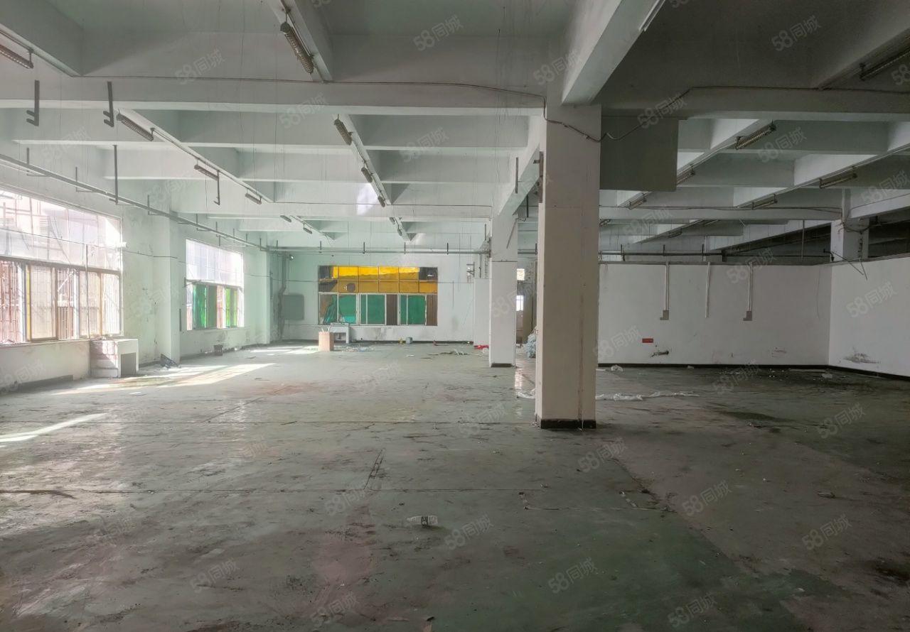 长安临近沙井松岗新出独院水电过户可分租