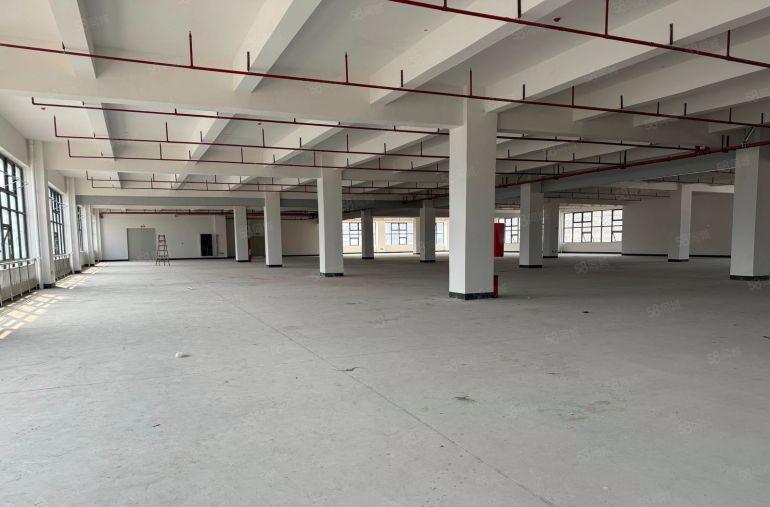 长安全新红本厂房出租，工业用地靠近深圳，一手房东低价出租